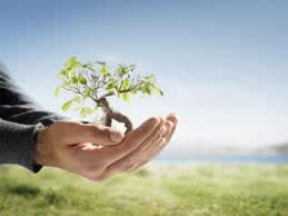 Ambiental Ambiental