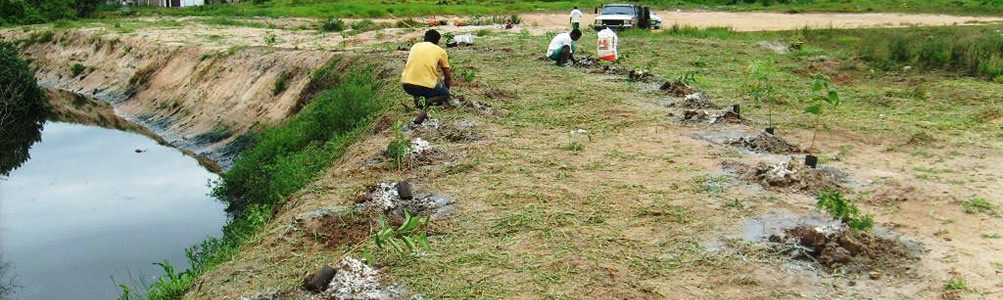 Consultoria Ambiental