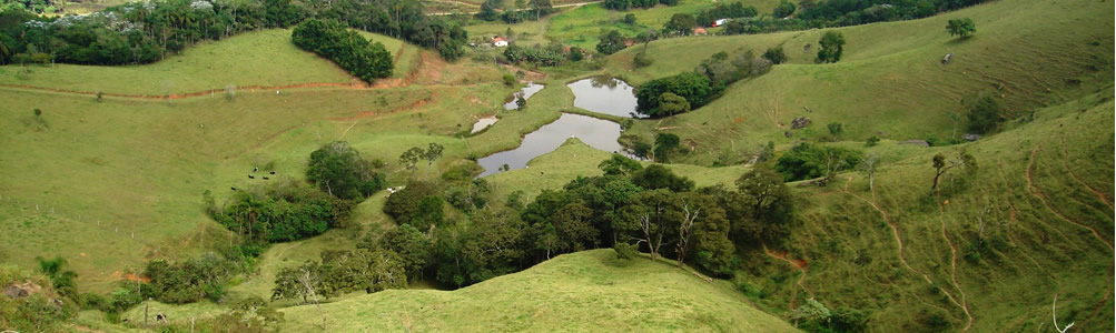 Estudo Ambiental Preliminar